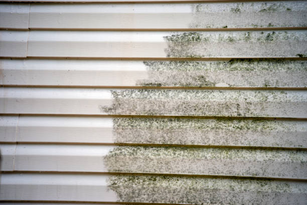 Siding Removal and Disposal in Middleport, OH