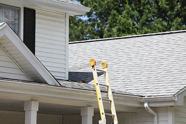 Best Insulated Siding Installation  in Middleport, OH